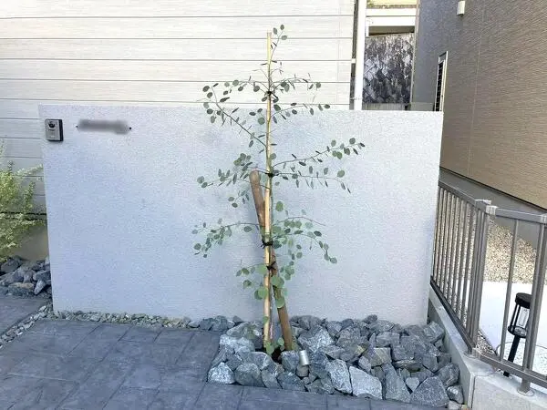 ◇　異形地を機能的に　◇